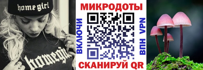 Галлюциногенные грибы Cubensis Горбатов